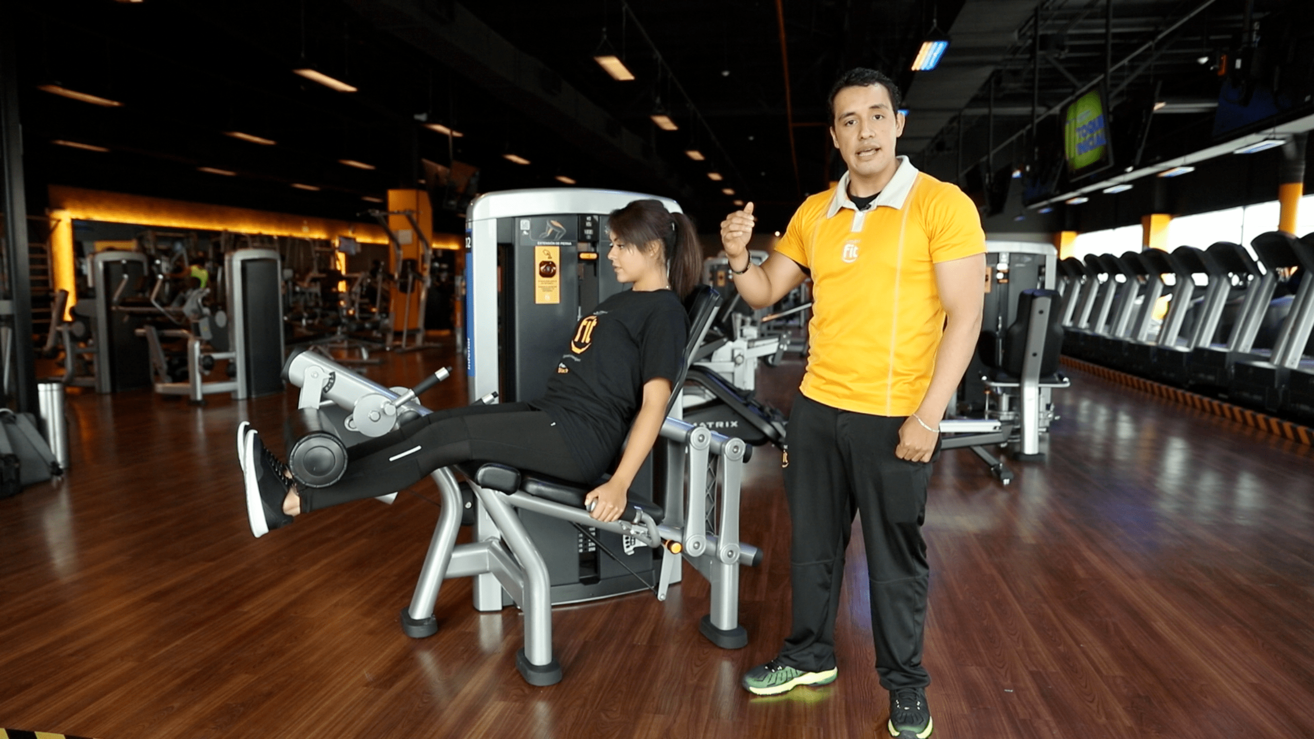 leg extension destacada