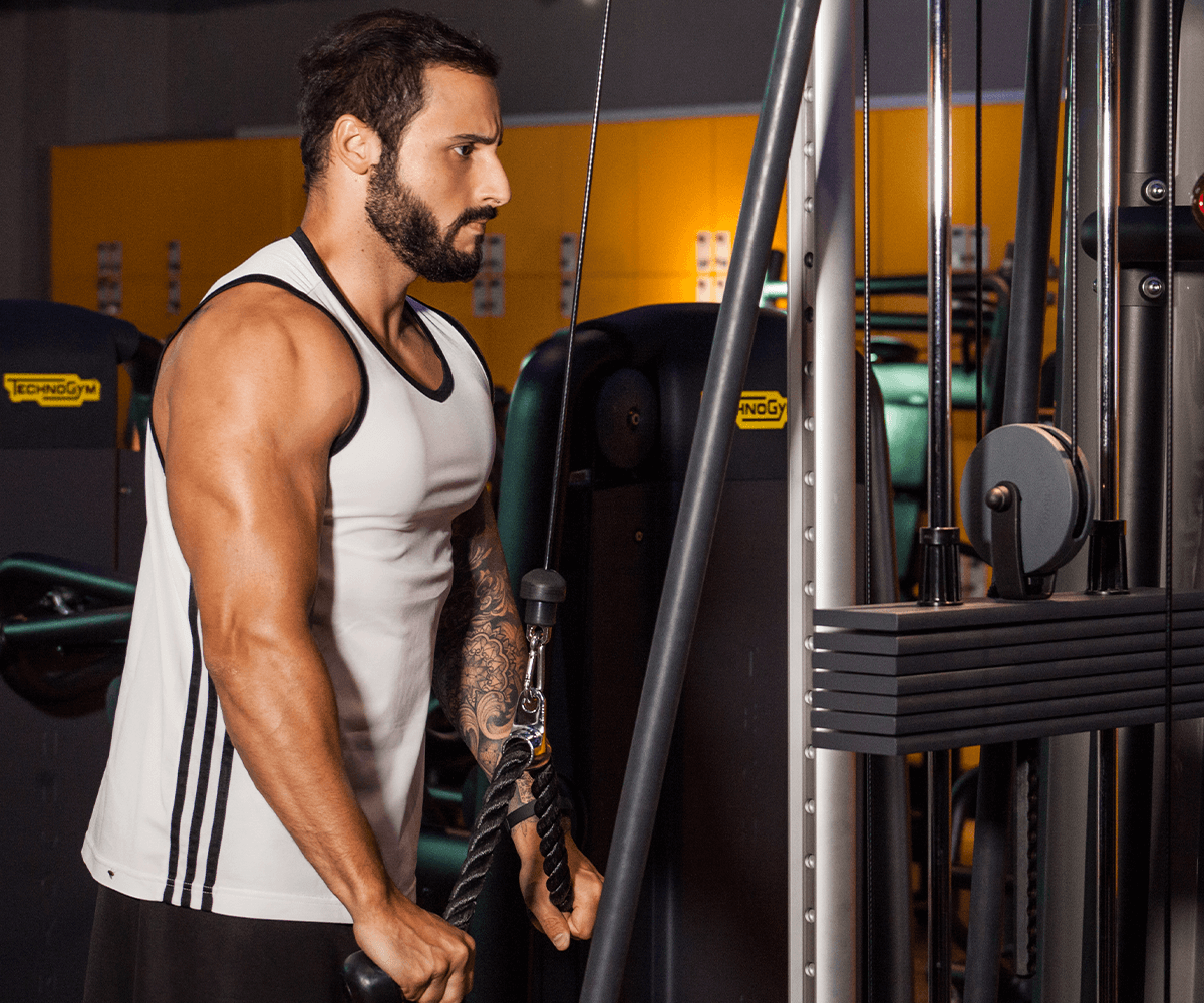 rutina de tríceps destacada