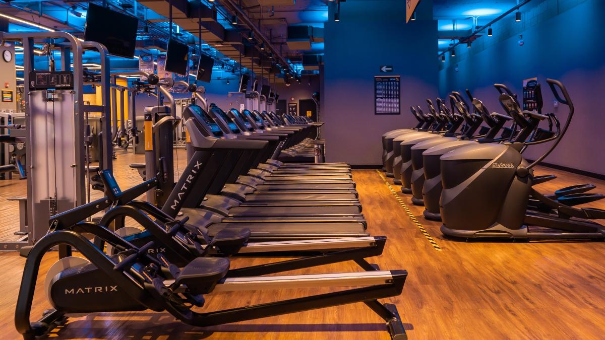 Area de cardio en uno de los gimnasios en el Estado de Mexico, equipada con caminadoras, elipticas y maquinas de fuerza de ultima generacion, con iluminacion moderna y ambiente amplio.