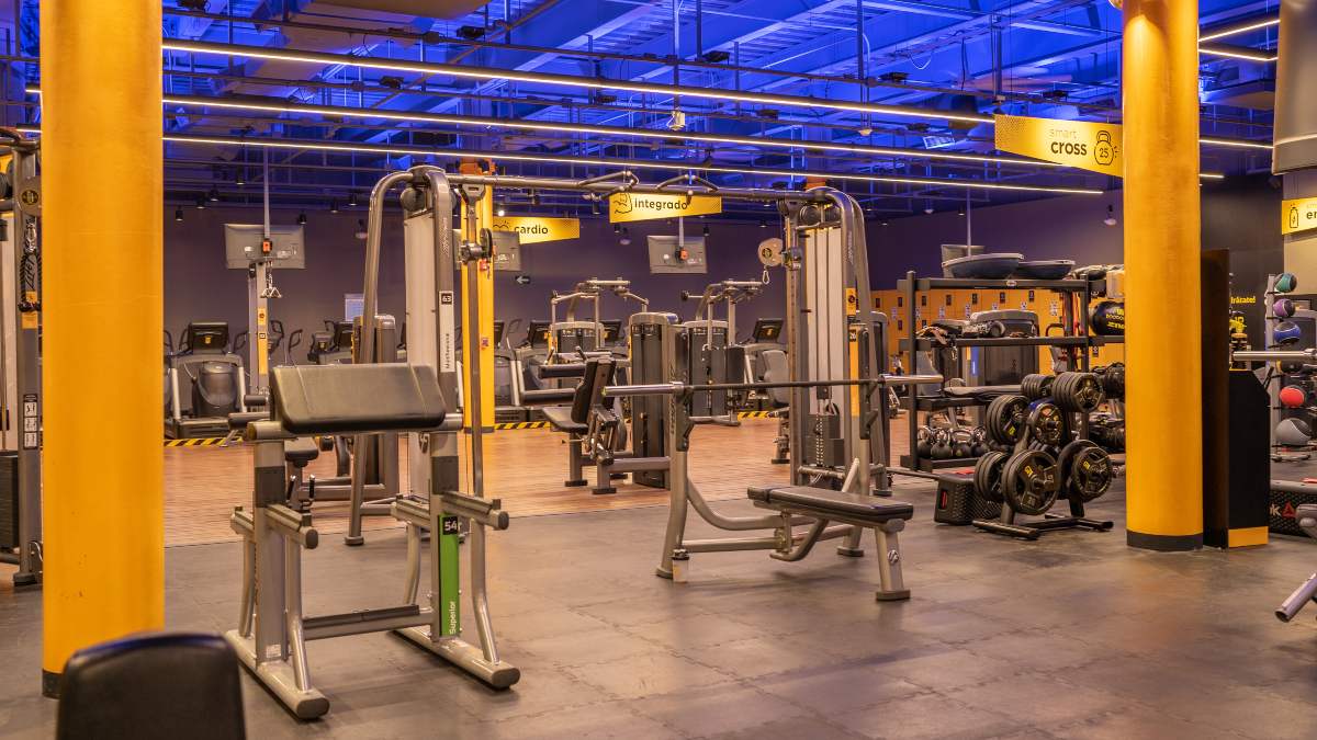 aparatos de un gimnasio