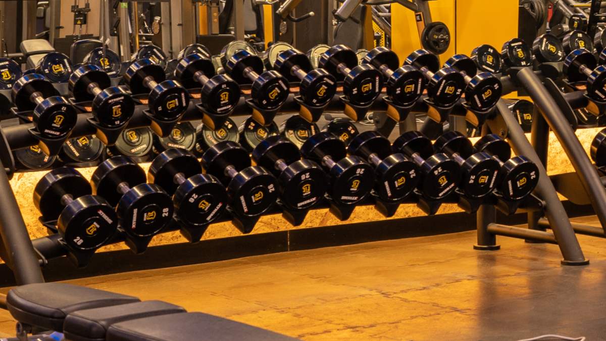 mancuernas ordenadas en un gimnasio