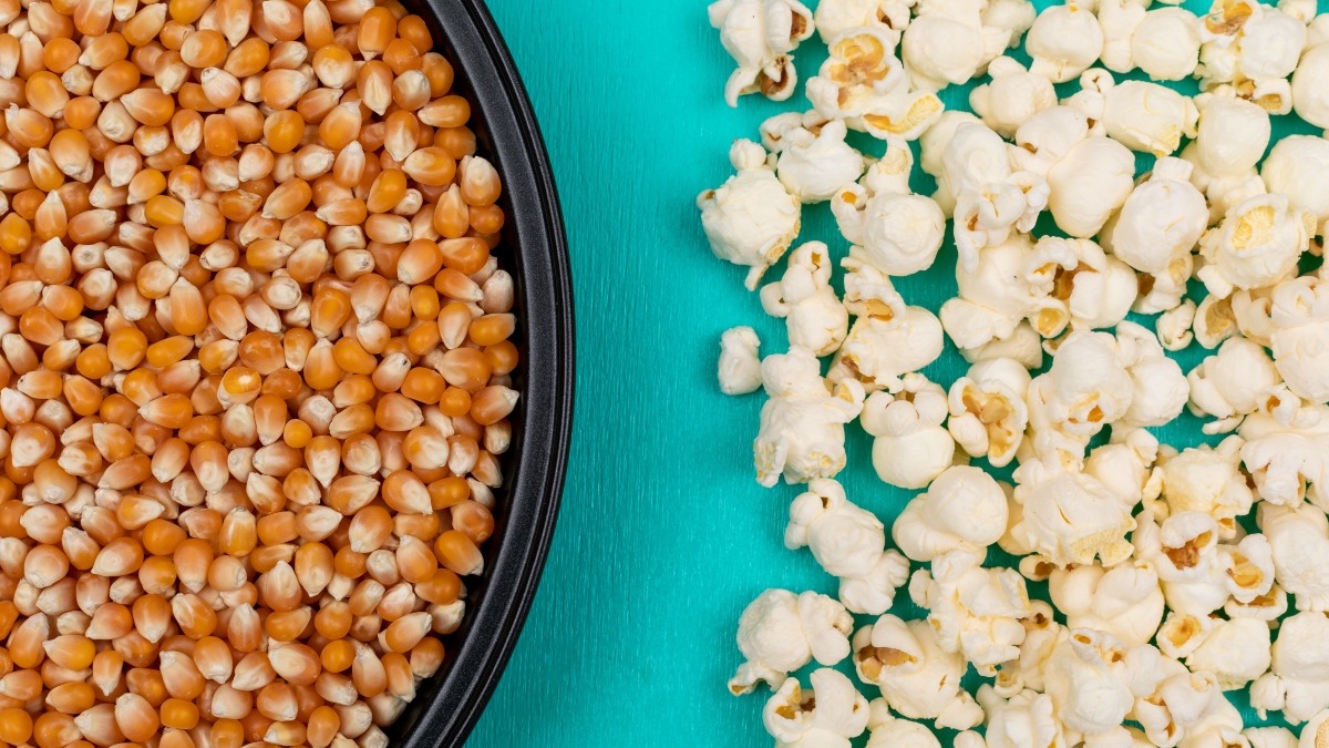 Vista de la mitad de un plato con maíz palomero crudo. A un lado palomitas de maíz ya preparadas.