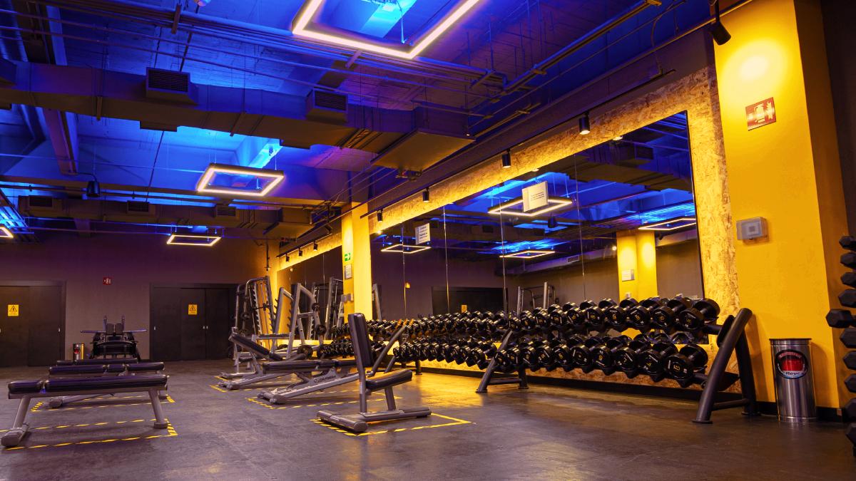 diferentes tipos de bancos al centro: planos, rectos e inclinados. rack con mancuernas de distintos pesos