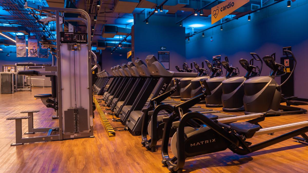 dos maquinas de remo en primer plano seguidas de un hilera de caminadoras. a un costado una hilera de escaladoras elipticas y de l otro lado maquina multifuncional para dominadas y fondos